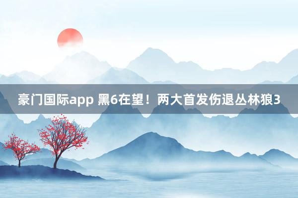 豪门国际app 黑6在望！两大首发伤退丛林狼3
