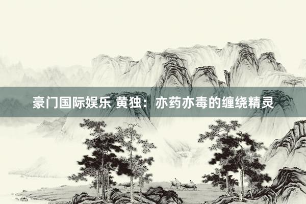 豪门国际娱乐 黄独：亦药亦毒的缠绕精灵