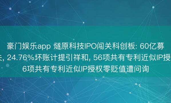 豪门娱乐app 燧原科技IPO闯关科创板: 60亿募资难掩43亿损失, 24.76%坏账计提引祥和, 56项共有专利近似IP授权零贬值遭问询